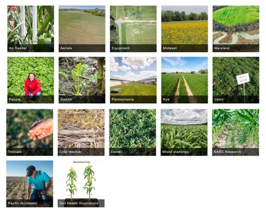 SARE Cover Crop Image Library