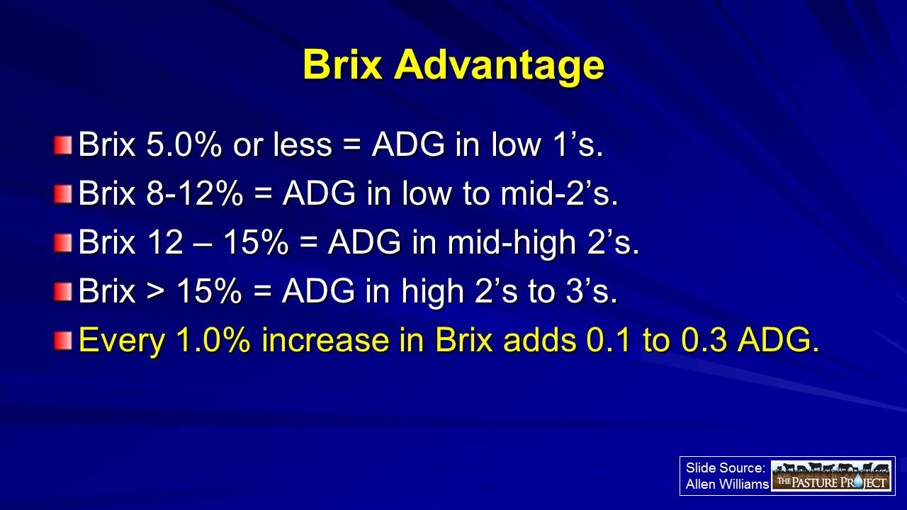 Brix Advantage slide image