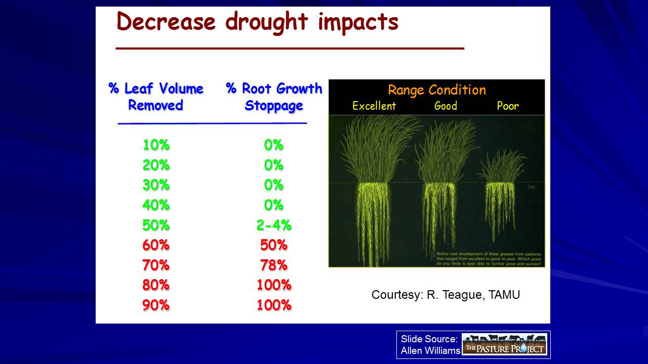 Decrease drought impact slide image