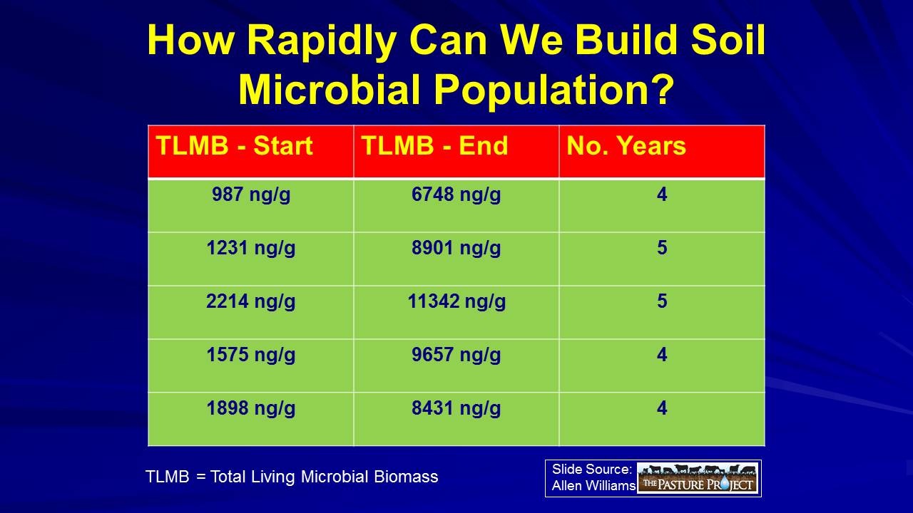 How rapidly microbial slide image
