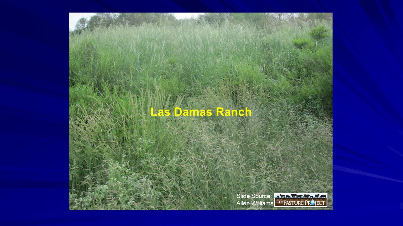 Las Damas Ranch 2 slide image