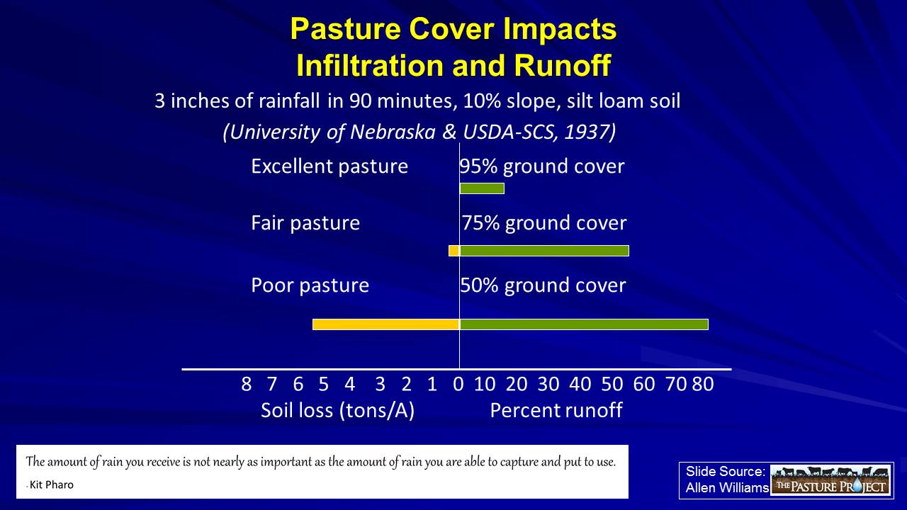 Pasture cover impacts slide image