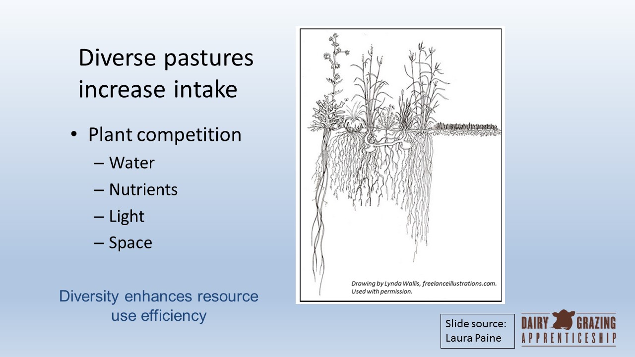 Diverse Pastures Increase Intake slide image