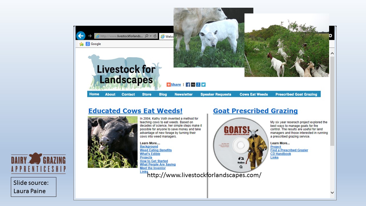 Livestock for Landscapes slide image