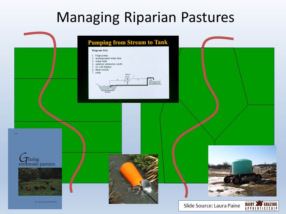 Managing riparian pastures slide image