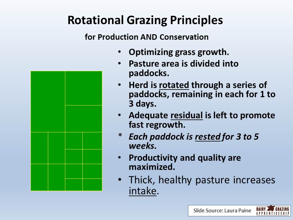 Rotational grazing principles slide image