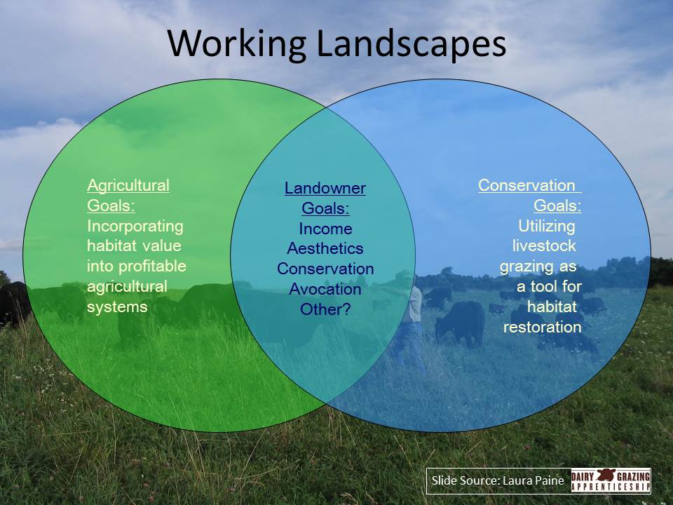 Working landscapes goals slide image