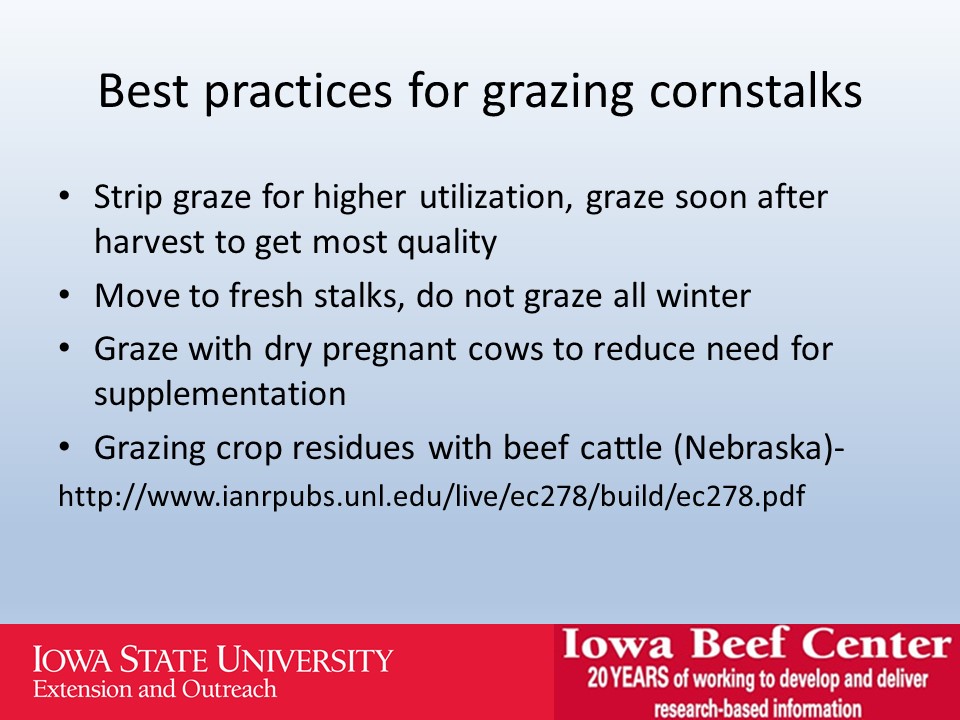 Best practices for grazing corn stalks slide image