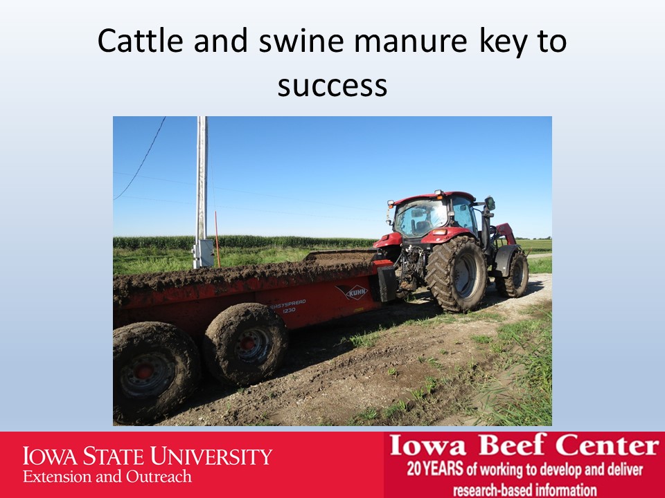 Cattle and swine manure key to success slide image