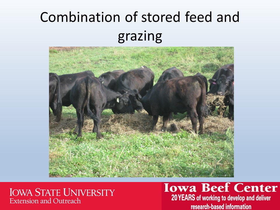 Combination of stored feed and grazing slide image