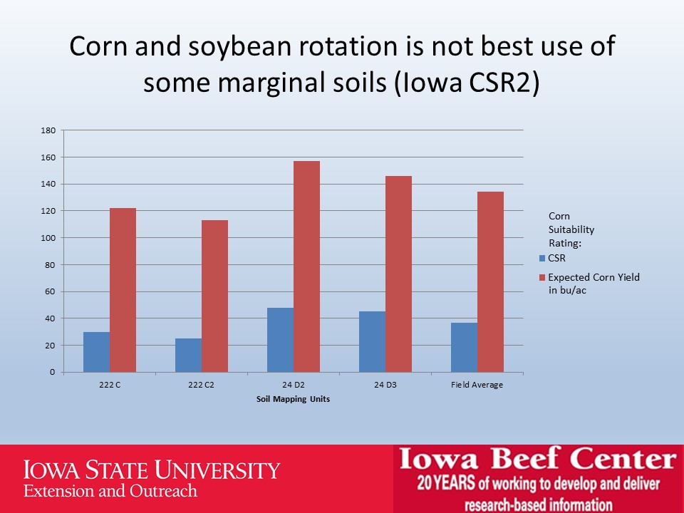Corn and soybean rotation slide image