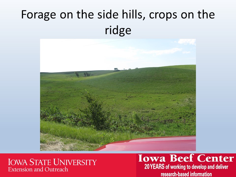 Forage on the hillside slide image