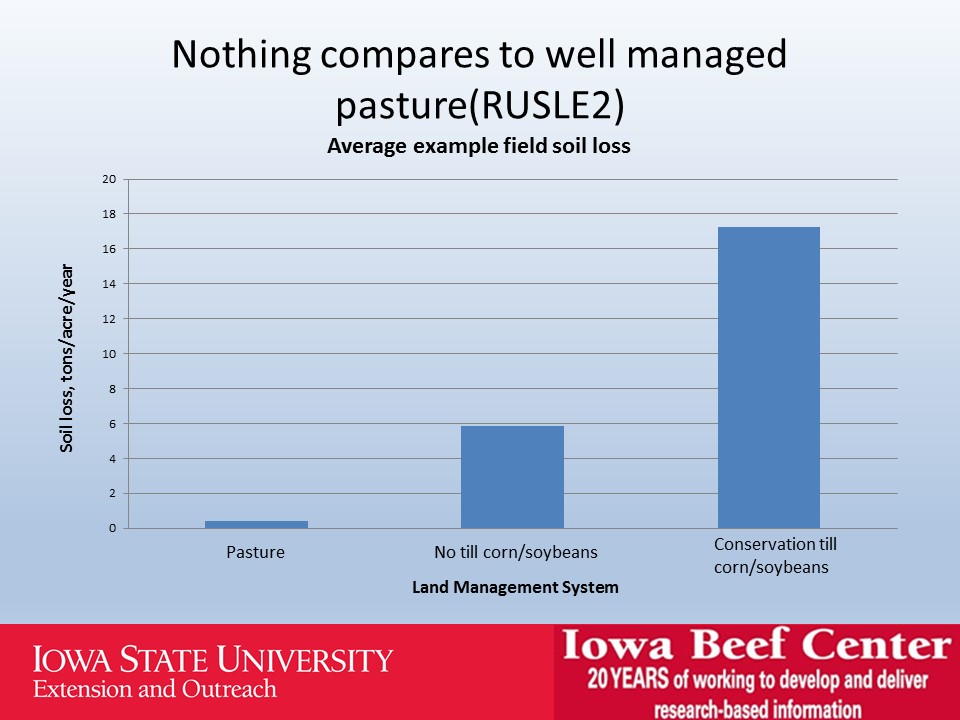 Nothing compares to well managed pasture slide image