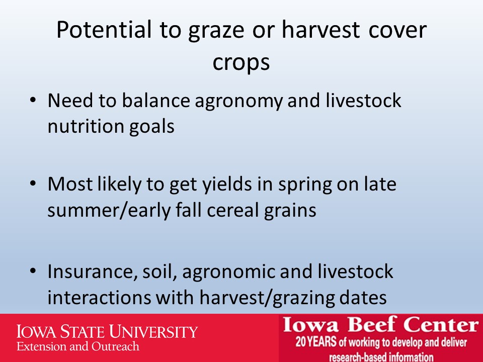 Potential to graze or harvest cover crops slide image