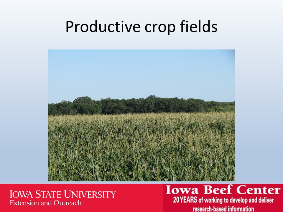 Productive crop fields slide image
