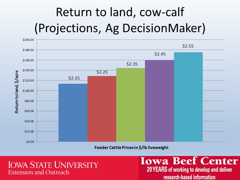 Return to land cow-calf slide image