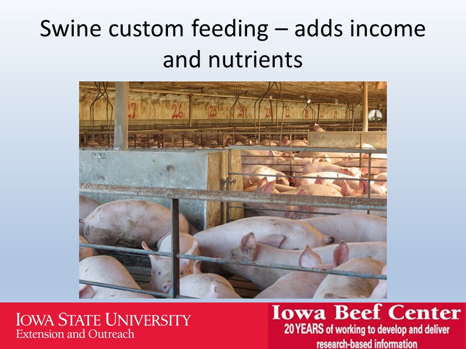 Swine custom feeding slide image