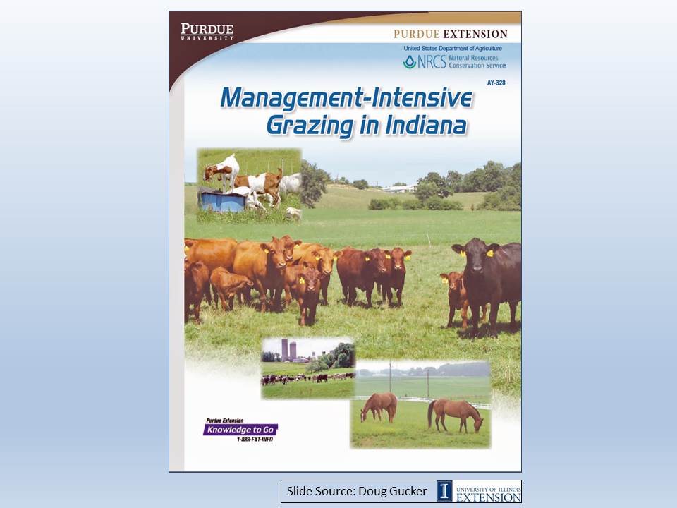 Management intensive grazing in Indiana slide image