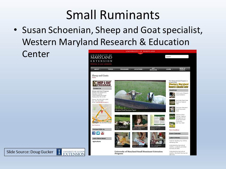 Small ruminants page slide image