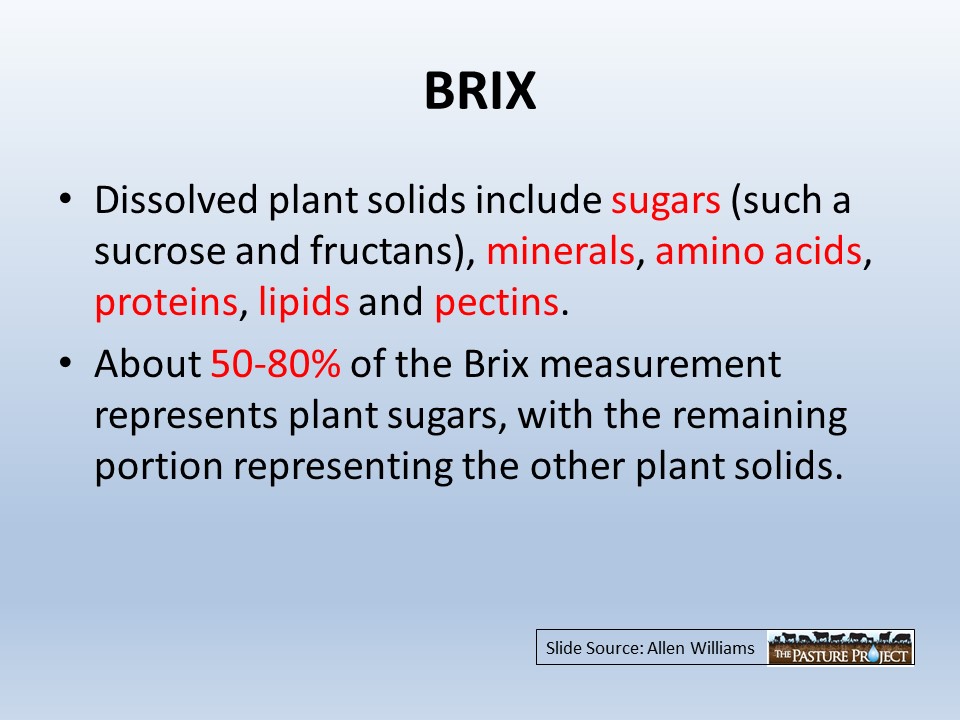 BRIX slide image
