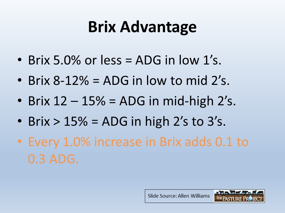 BRIX advantage slide image