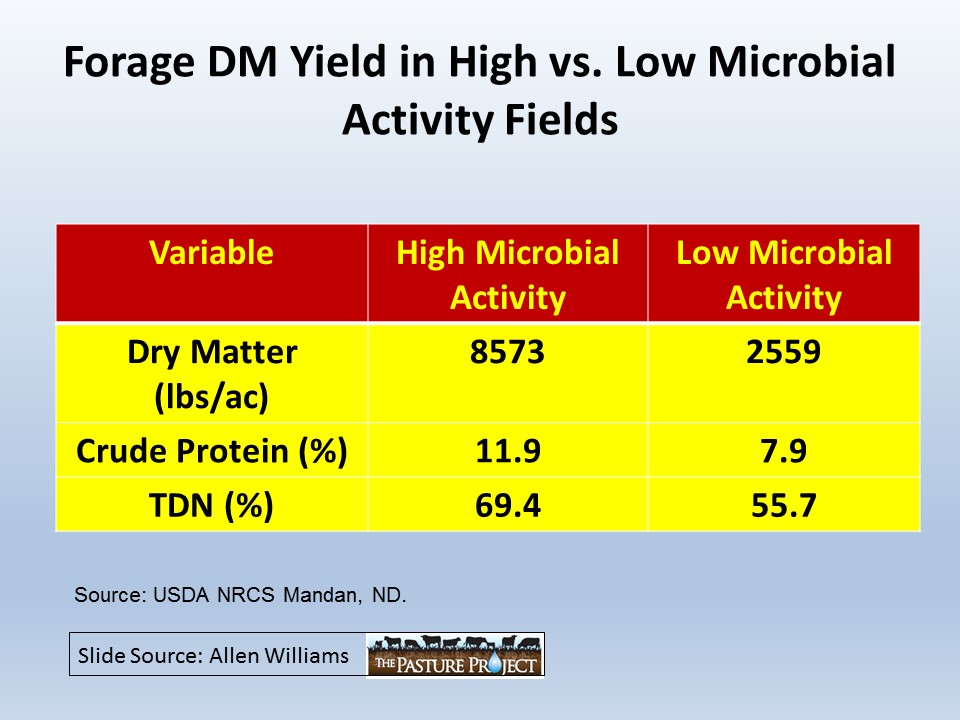 Forage DM yield in high vs low microbial activity slide image