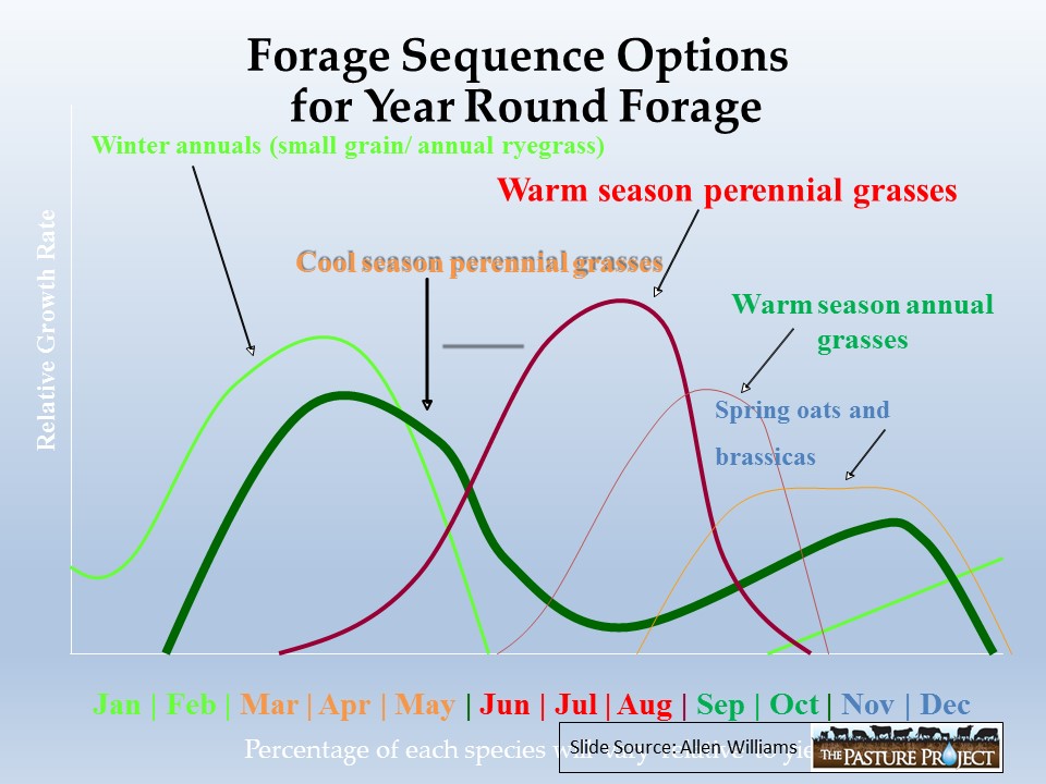 Forage sequence options slide image