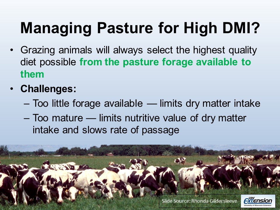Managing pasture for high DMI slide image