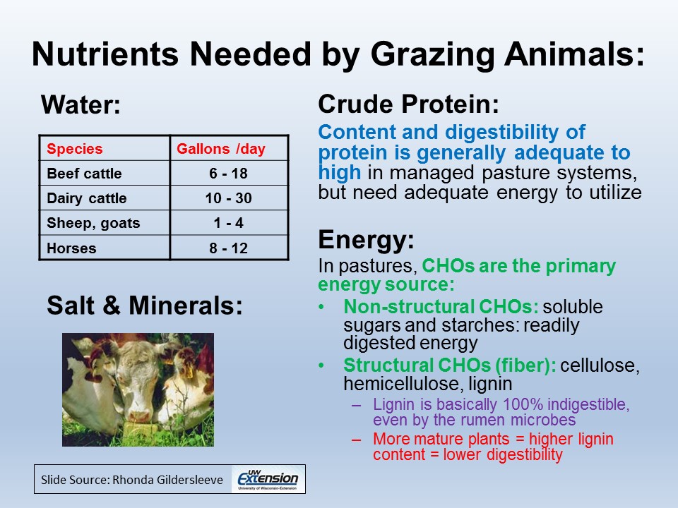 Nutrients needed by grazing animals slide image
