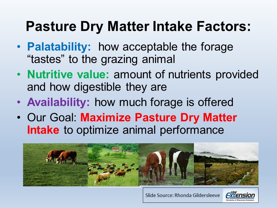 Pasture Dry Matter intake factors slide image