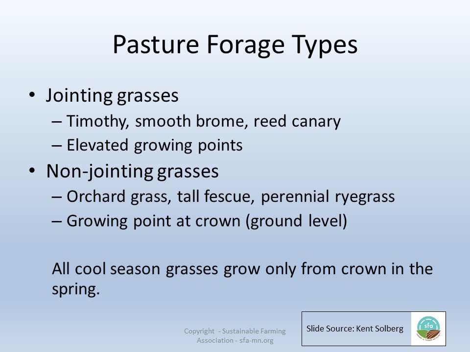 Pasture forage types 2 slide image