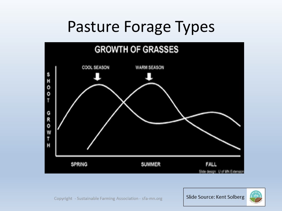 Pasture forage types graph slide image