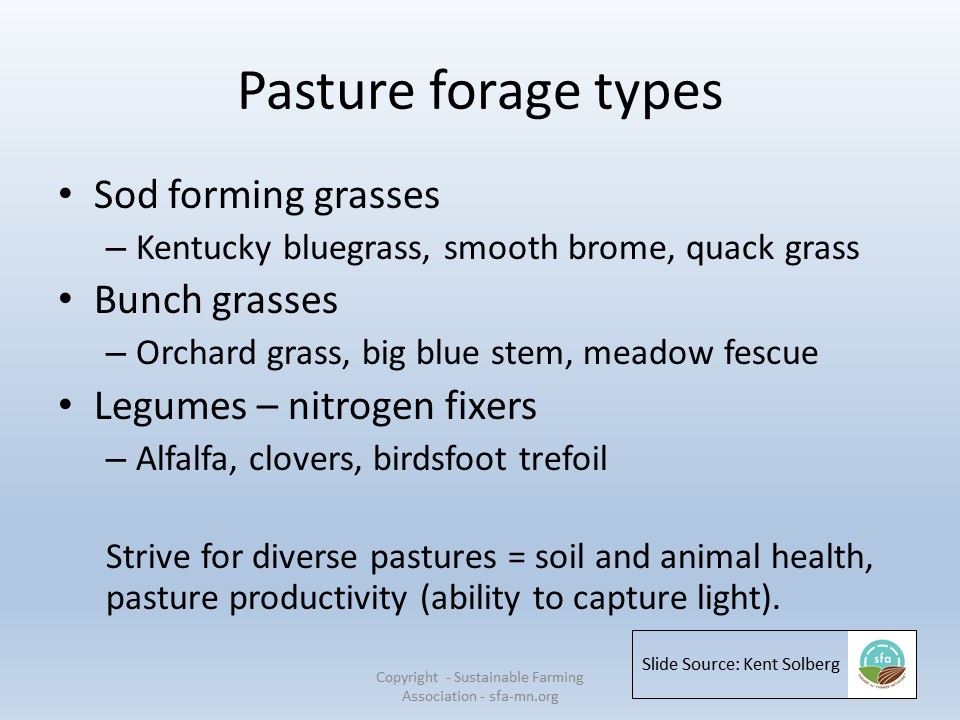 Pasture forage types slide image