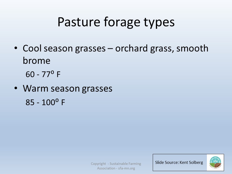 Pasture forage types 3 slide image
