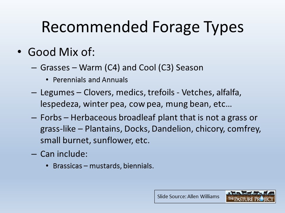 Recommended forage types slide image