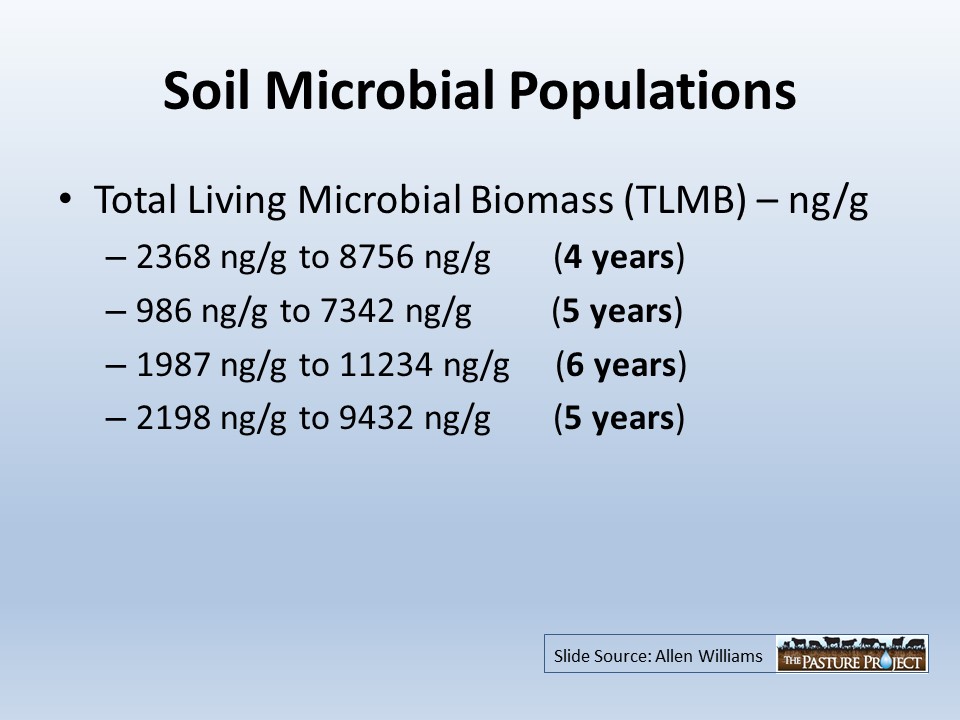 Soil microbial populations slide image