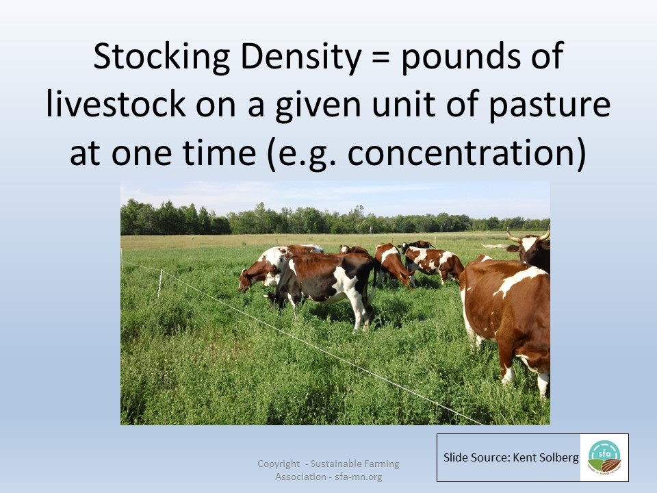 Stocking densities slide image
