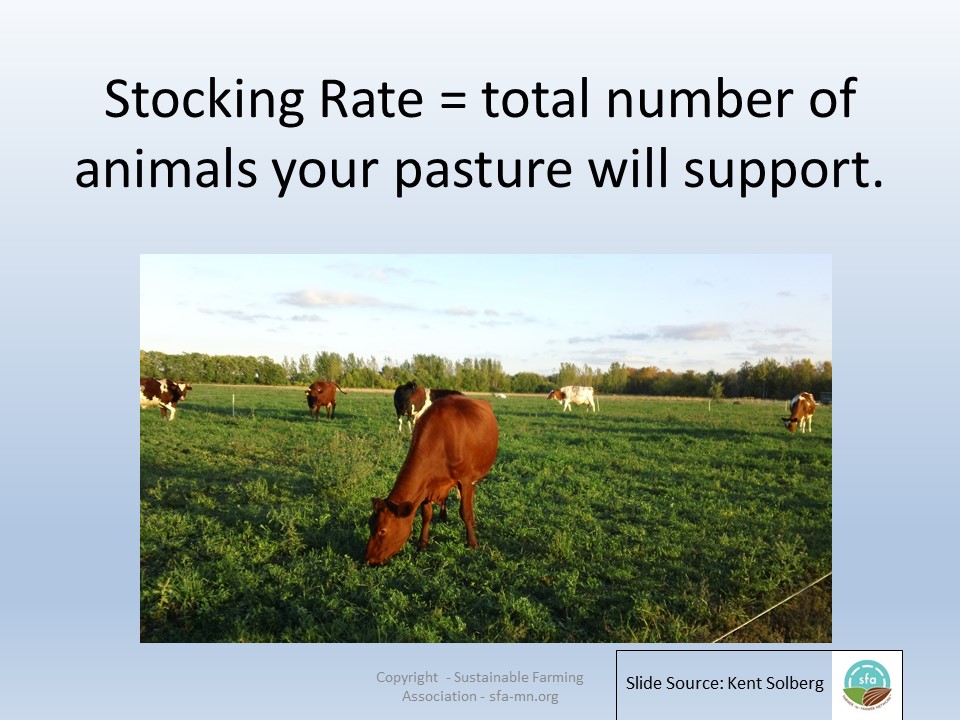 Stocking rate slide image