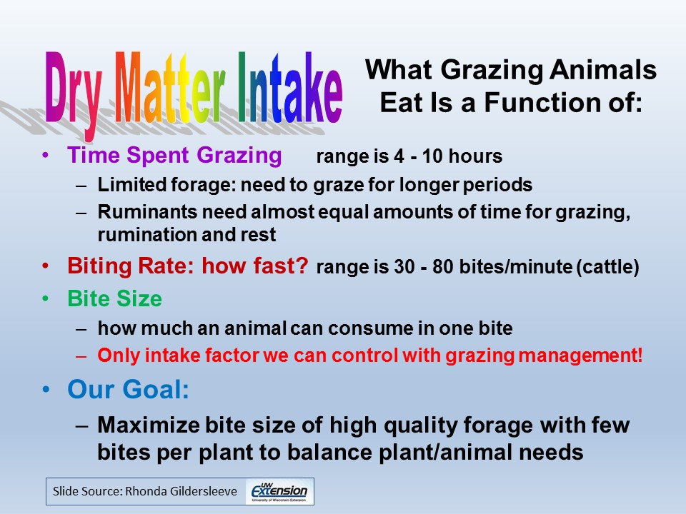 Dry Matter Intake slide image