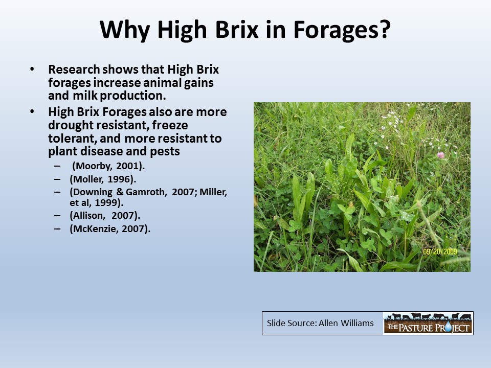 Why high Brix in forages slide image
