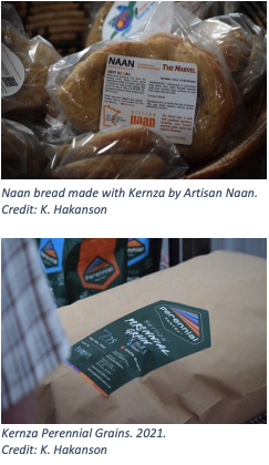 Naan bread made with Kernza by Artisan Naan. Credit: K. Hakanson - Kernza Perennial Grains. 2021. Credit: K. Hakanson